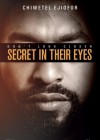 Secret in Their Eyes poster