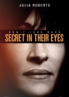 Secret in Their Eyes poster