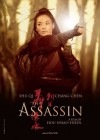 The Assassin poster