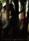 The Assassin poster