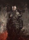The Last Witch Hunter poster