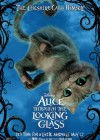 Alice Through the Looking Glass poster