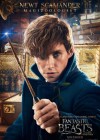 Fantastic Beasts and Where to Find Them poster