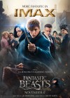 Fantastic Beasts and Where to Find Them poster