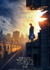 Fantastic Beasts and Where to Find Them poster