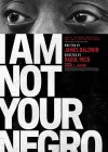 I Am Not Your Negro poster