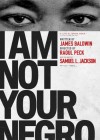 I Am Not Your Negro poster