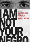 I Am Not Your Negro poster