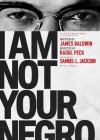 I Am Not Your Negro poster