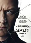 Split poster