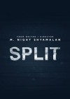 Split poster