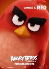 The Angry Birds Movie poster