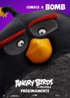 The Angry Birds Movie poster