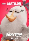 The Angry Birds Movie poster