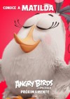 The Angry Birds Movie poster