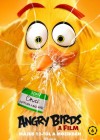 The Angry Birds Movie poster