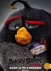 The Angry Birds Movie poster