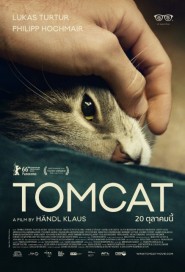Tomcat poster
