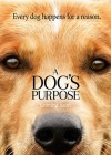 A Dog's Purpose poster