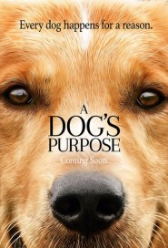 A Dog's Purpose poster
