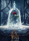 Beauty and the Beast poster