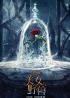 Beauty and the Beast poster