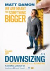 Downsizing poster