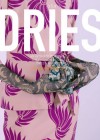 Dries poster