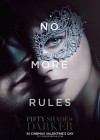 Fifty Shades Darker poster