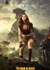 Jumanji: Welcome to the Jungle poster