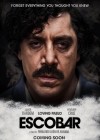 Loving Pablo poster