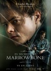 Marrowbone poster