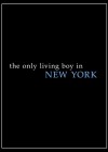 The Only Living Boy in New York poster