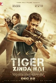 Tiger Zinda Hai poster