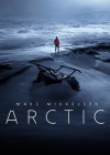 Arctic poster