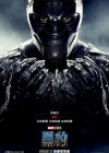 Black Panther poster