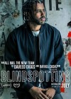 Blindspotting poster