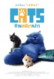 Cats poster