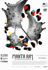 Manta Ray poster