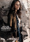 Maze Runner: The Death Cure poster