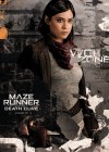 Maze Runner: The Death Cure poster