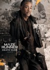 Maze Runner: The Death Cure poster