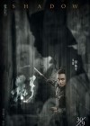 Shadow poster