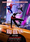 Spider-Man: Into the Spider-Verse poster