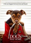 A Dog's Way Home poster