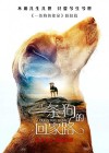 A Dog's Way Home poster
