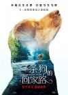 A Dog's Way Home poster