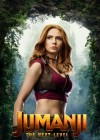 Jumanji: The Next Level poster