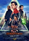 Spider-Man: Far from Home poster