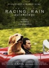 The Art of Racing in the Rain poster